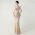 Graceful Sequin Embellished Mesh Mermaid Maxi Dress